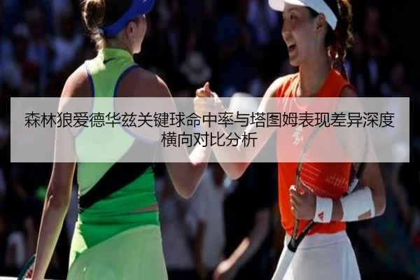 森林狼爱德华兹关键球命中率与塔图姆表现差异深度横向对比分析